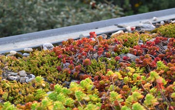 the cost of Newry And Mourne green roof installation