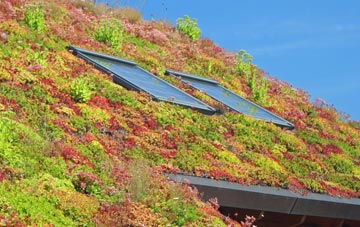 Newry And Mourne living roof systems