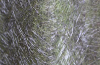 Newry And Mourne fibreglass roof work