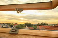 rated Newry And Mourne roof window companies